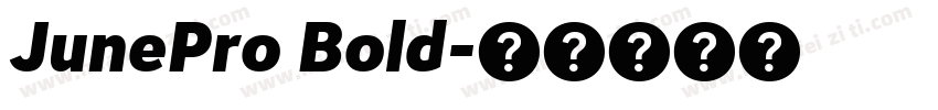 JunePro Bold字体转换